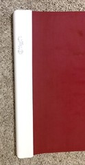 Yogifi gen 2 yoga mat red colour yoga matt for yoga posture guided yoga classes 