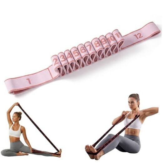Resistance Bands for Working Out, Numbered Fabric Exercise Bands 12 Loops Pink