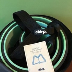 Chirp Yoga Wheels Set of 3 Black Mint Green Posture Corrector Included