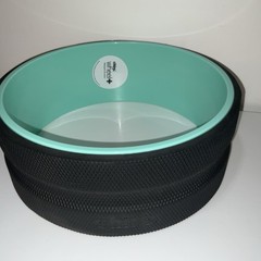 12 Inch Chirp Wheel
