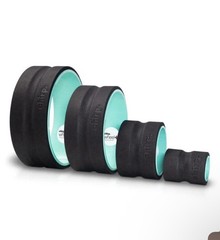 Chirp Wheel+ 4 Pack Lightly Used – Mint Color