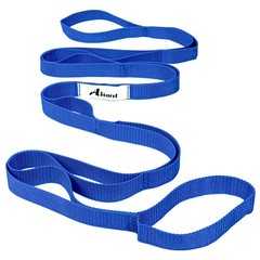 Stretching Strap Yoga Straps for Physical Therapy, 10 Loops NonElastic Stretc…