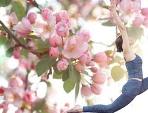 8 Week Yoga -Starting the 29th of April @ 7pm