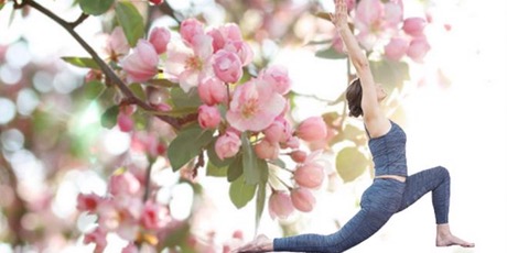 8 Week Yoga -Starting the 29th of April @ 7pm